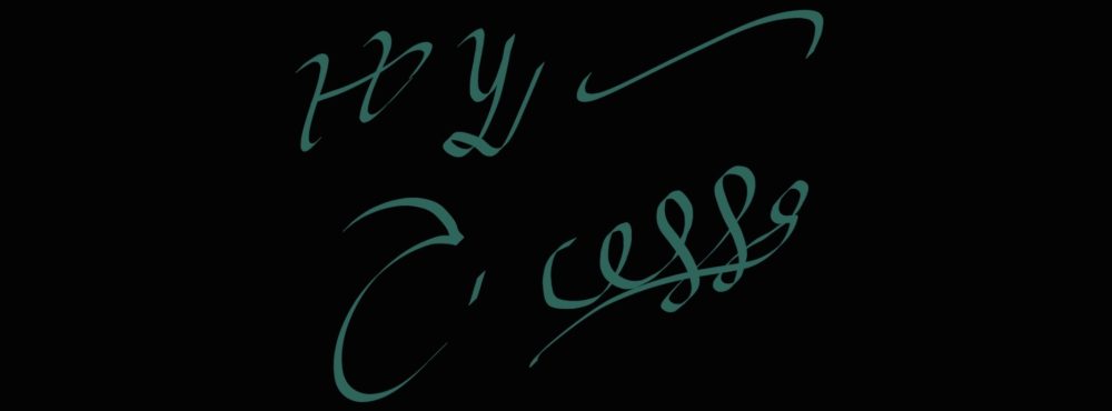 HY_Picasso